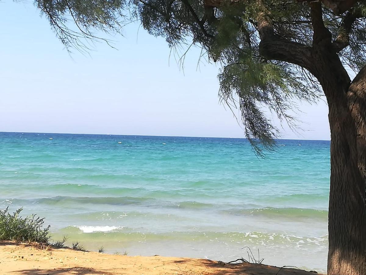 Ferienwohnung Tra Vento E Mare Lendinuso Exterior foto